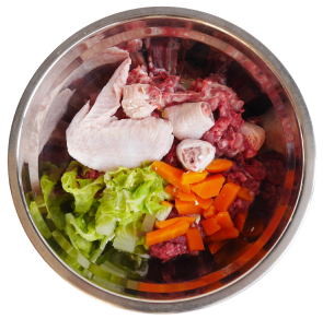 Futternapf gefüllt mit rohem Fleisch, Obst und Gemüse