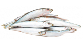 Ganze Sprotten am Stück