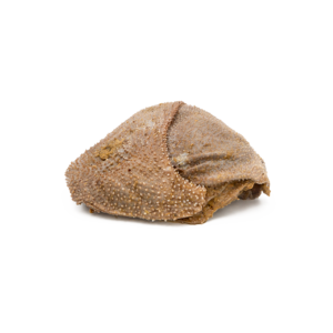 Rind Blättermagen stückig, gefroren 500g