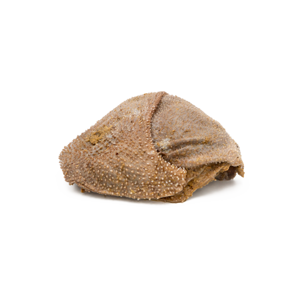 Rind Blättermagen stückig, gefroren 500g