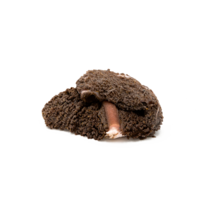 Rind Pansen grün stückig, gefroren 500g