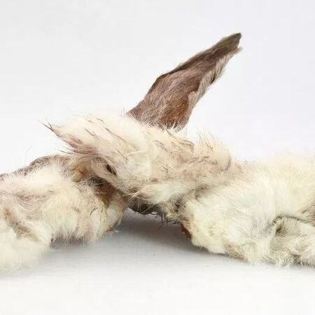 Kaninchenohren mit Fell